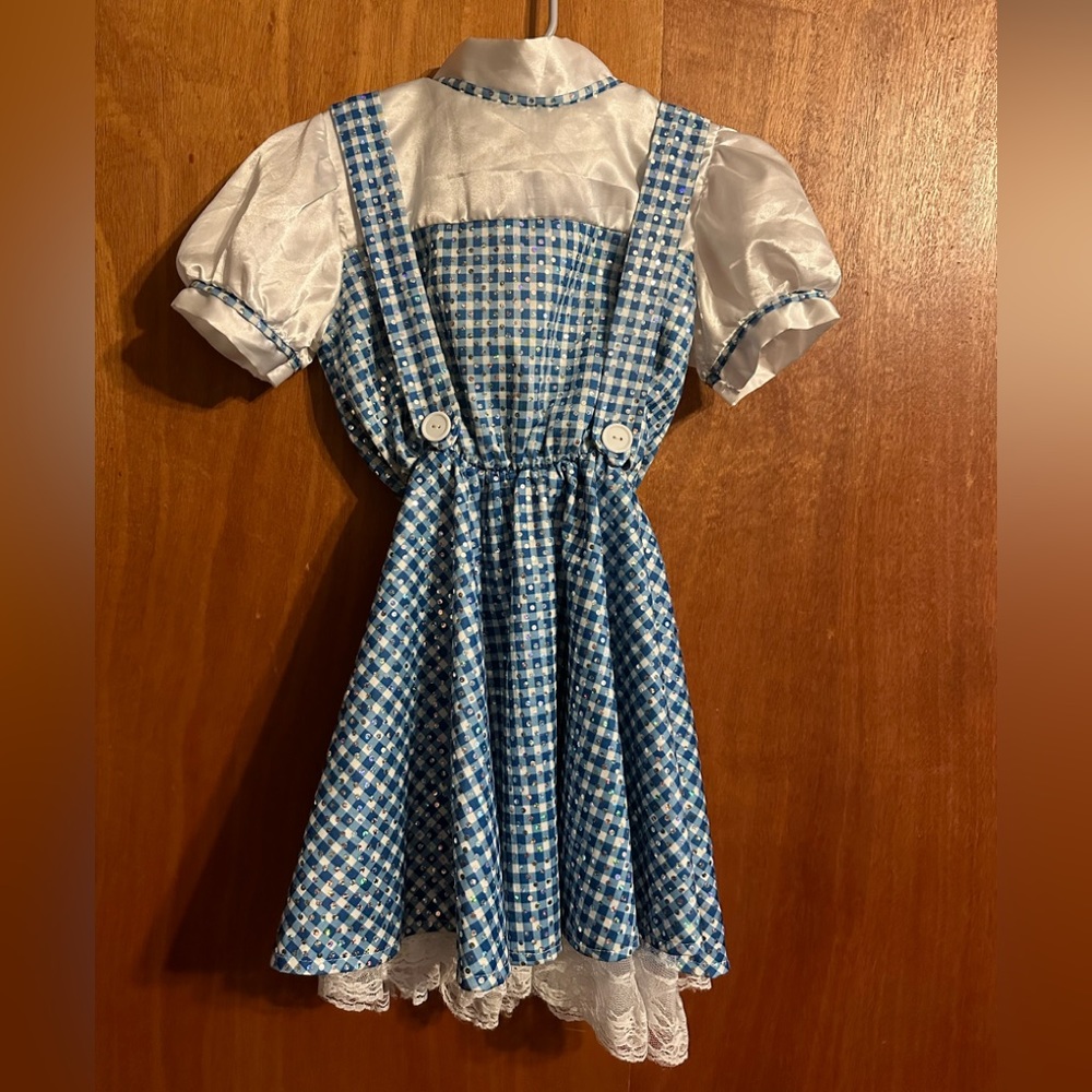 Wizard of Oz Dorothy girls dress child medium costume dress up
